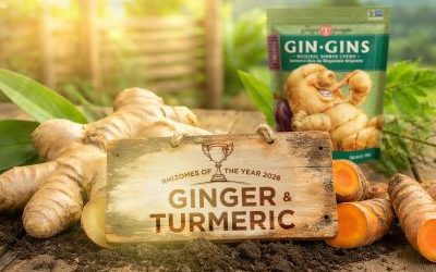 Why Ginger and Turmeric Are Herbs of the Year